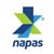 Napas